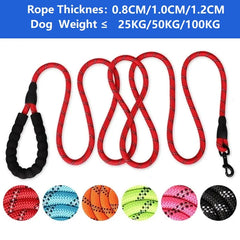 TITAN LEASH™