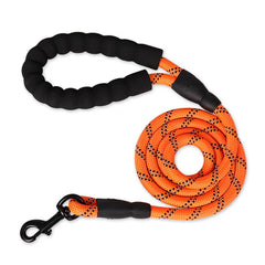 TITAN LEASH™