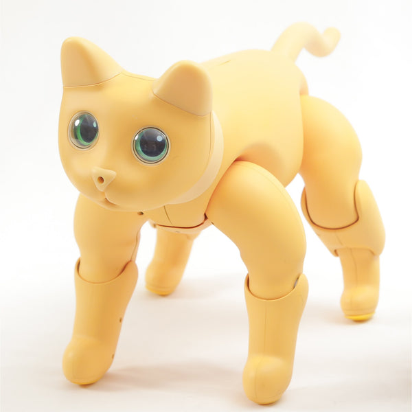 MARS ROBOCAT™
