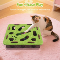 PAW PUZZLE BOX™