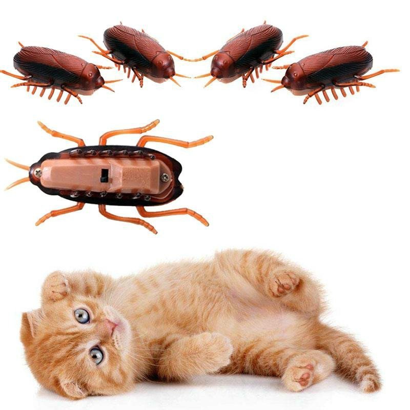 BUG HUNTER™ - FANTASY BIG STORE