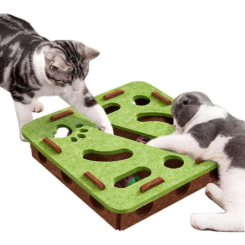 PAW PUZZLE BOX™