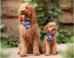BANDANA PETS™ - FANTASY BIG STORE