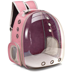 CATBAG™ - FANTASY BIG STORE