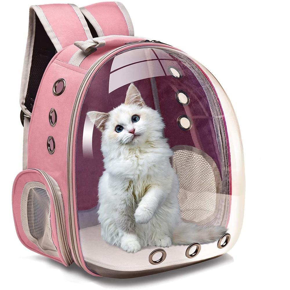 CATBAG™ - FANTASY BIG STORE