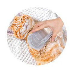 CAT MASSAGER™ - FANTASY BIG STORE