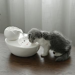 DRINK FOUNTAIN™ - FANTASY BIG STORE