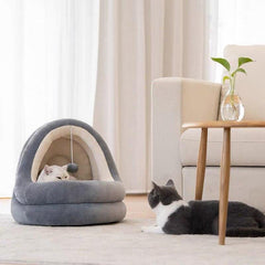 FANCY BED™ - FANTASY BIG STORE
