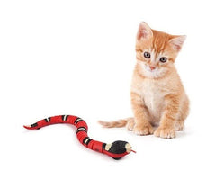 FUNNY SNAKE™ - FANTASY BIG STORE