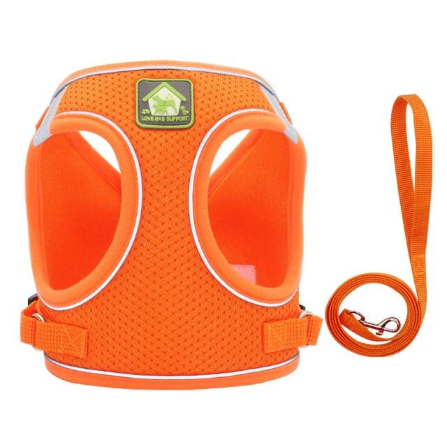 HARNESS REFLECT™ - FANTASY BIG STORE