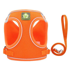 HARNESS REFLECT™ - FANTASY BIG STORE