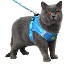 HARNESS REFLECT™ - FANTASY BIG STORE