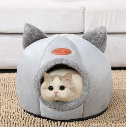 KENNEL CAT™ - FANTASY BIG STORE