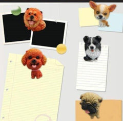 MAGNETICATS™ - MAGNETICDOGS™ - FANTASY BIG STORE
