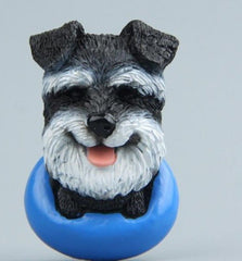 MAGNETICATS™ - MAGNETICDOGS™ - FANTASY BIG STORE