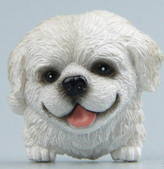 MAGNETICATS™ - MAGNETICDOGS™ - FANTASY BIG STORE
