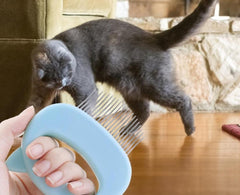 MASSAGE BRUSH™ - FANTASY BIG STORE