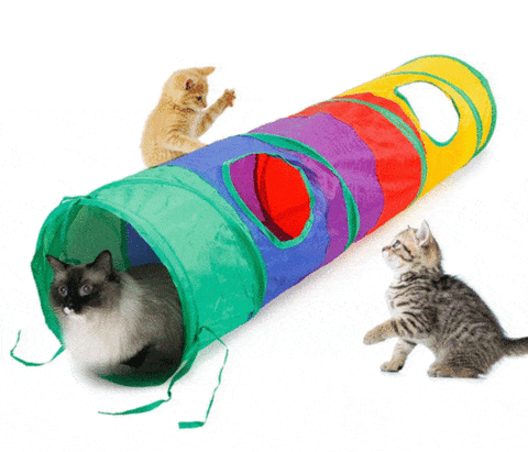 MAXY FUN TUNNEL™ - FANTASY BIG STORE
