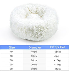 KITTY BED™ - FANTASY BIG STORE