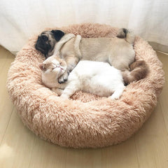 KITTY BED™ - FANTASY BIG STORE