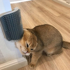 CAT MASSAGER™ - FANTASY BIG STORE