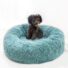 KITTY BED™ - FANTASY BIG STORE
