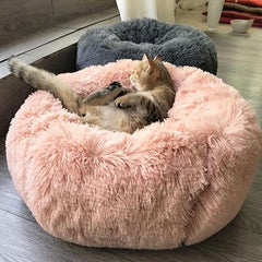 KITTY BED™ - FANTASY BIG STORE