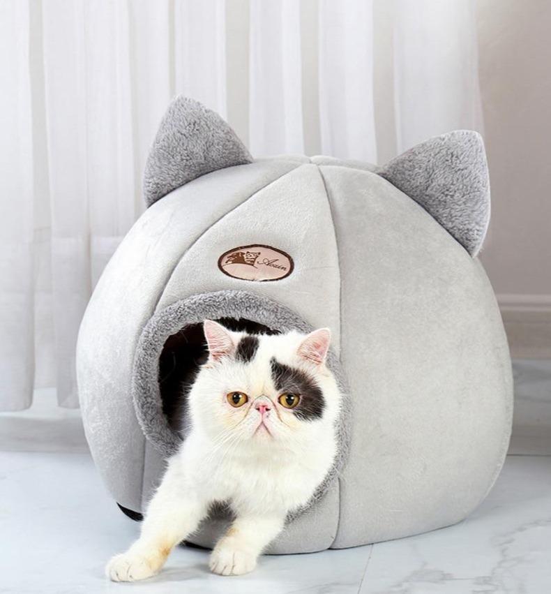 KENNEL CAT™ - FANTASY BIG STORE