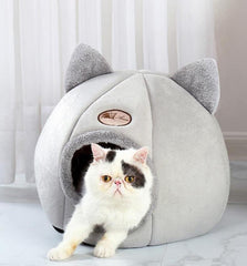 KENNEL CAT™ - FANTASY BIG STORE