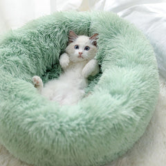 KITTY BED™ - FANTASY BIG STORE