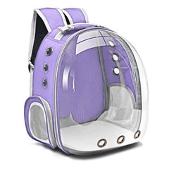 CATBAG™ - FANTASY BIG STORE