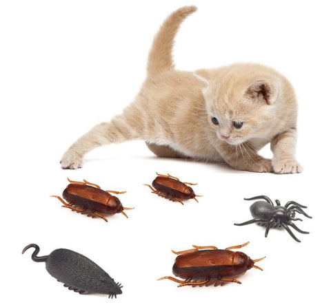 BUG HUNTER™ - FANTASY BIG STORE