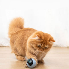 ROTOBALL™
