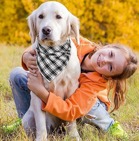 BANDANA PETS™ | Multicolor Bandana's Dogs | Animal scarf - FANTASY BIG STORE