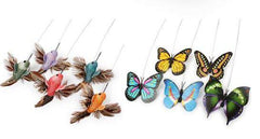 ROTONSECT™ - FANTASY BIG STORE