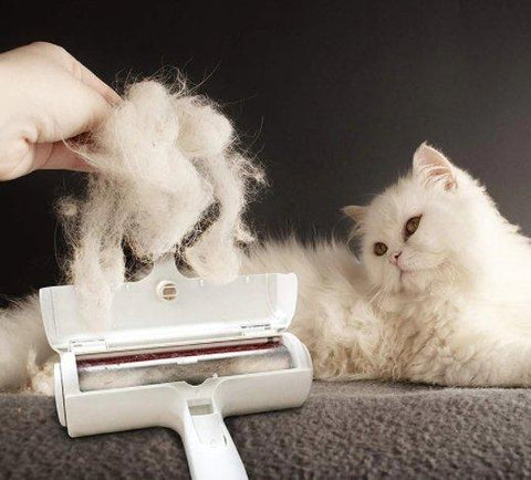 Cat hair cleaners with roller - FANTASY BIG STORE