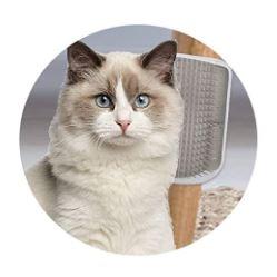 CAT MASSAGER™ - FANTASY BIG STORE
