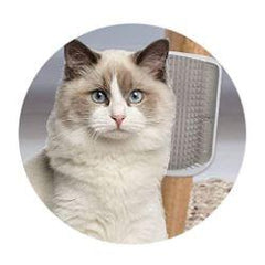 CAT MASSAGER™ - FANTASY BIG STORE