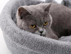 Comfortable bed's cats heart form | Shaped kennel for pets - FANTASY BIG STORE