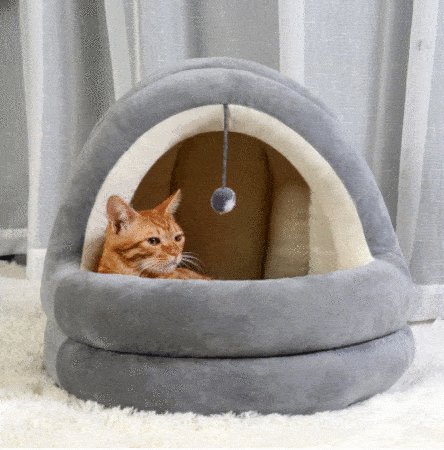 FANCY BED™ - FANTASY BIG STORE