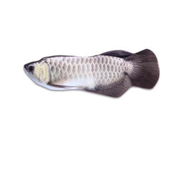 ROBO FISH™