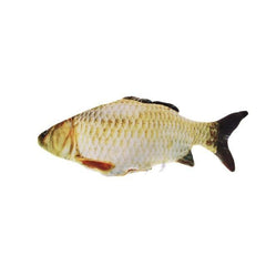 ROBO FISH™