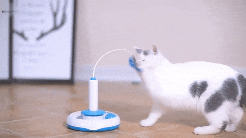 ROTOCAT™