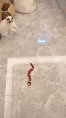 FUNNY SNAKE™ - FANTASY BIG STORE