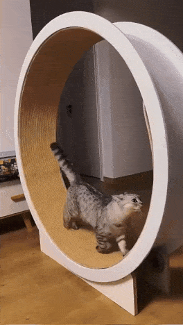 RUNNING CAT™