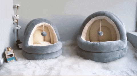FANCY BED™ - FANTASY BIG STORE