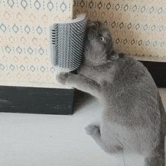 CAT MASSAGER™ - FANTASY BIG STORE