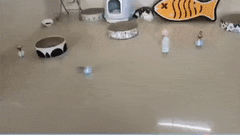 ROLLING BALL™