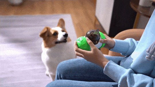 TURN TREATS™