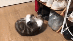 ROLLING BALL™